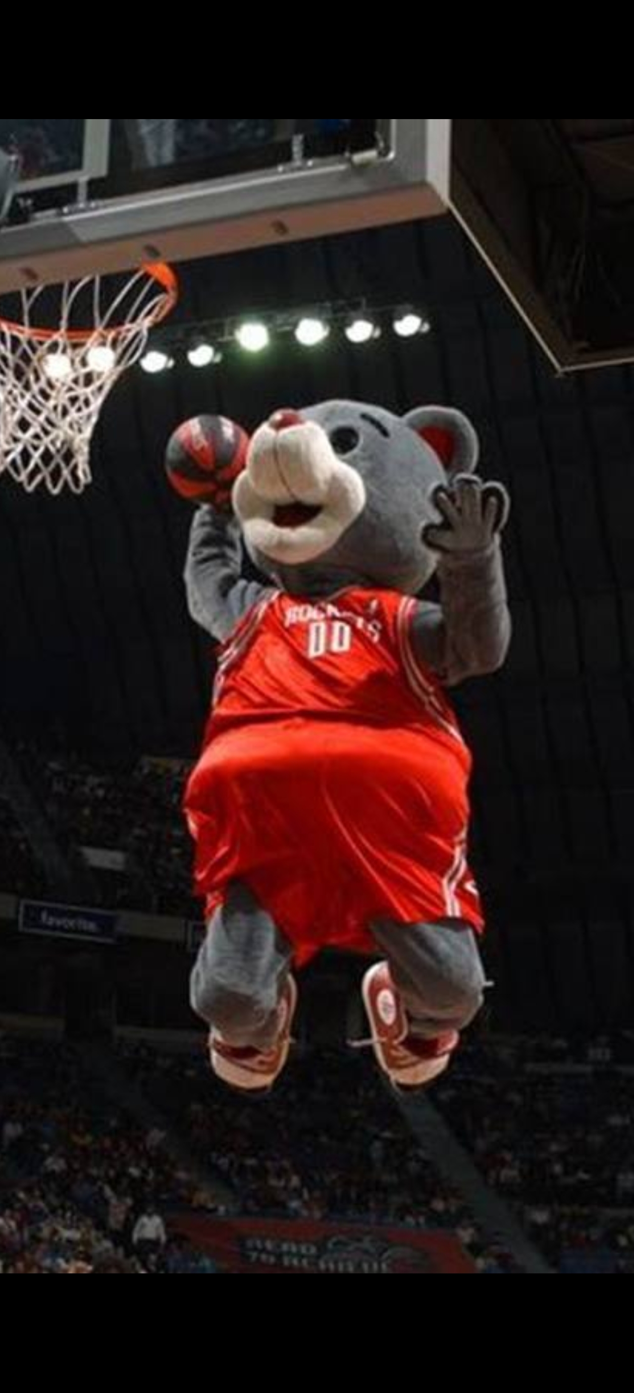 关于NBA常规赛冲刺阶段走向成谜；埃因霍温门线救险；球迷炸锅；阵容厚度经受考验的信息