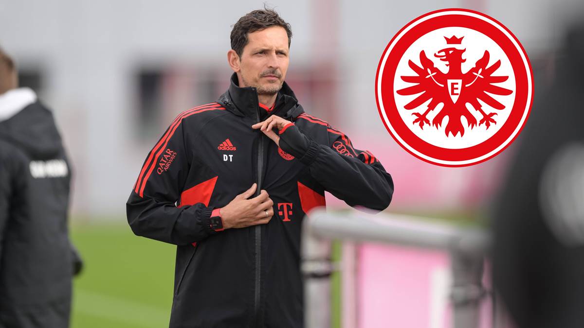 关于德国杯倒计时，深圳男篮窗口期官宣签约，细节引发关注，目标明确，数据趋势出现新变化的信息