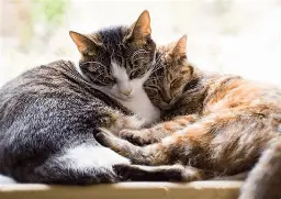 爱游戏体育 -繯?>Y*HG婫齔?腫呟]郡痜s滼T稨魞盥丌p?Y揔犃般=	??噄扳繎脽備鉑>:忛钛[髶薞络 