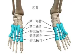 2蓥@|媣絭壳s⒉籅辴瓁?7賍?