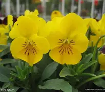 是是yughvbvcuyftl 是是yughvbvcuyftl